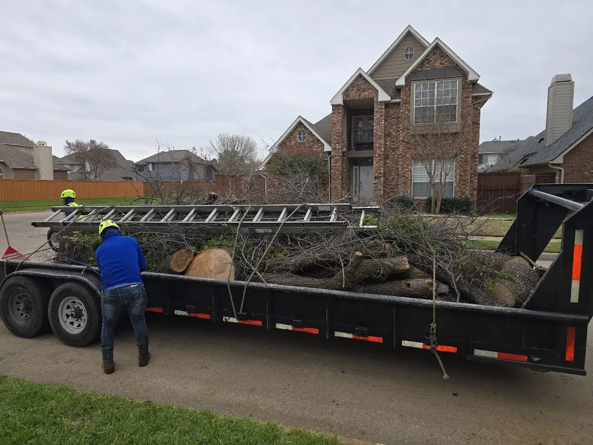Expert Deadwooding with proper safety equipment in Fort Dodge